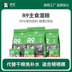 R9 เปียกซอง 60g (พร้อมส่ง)